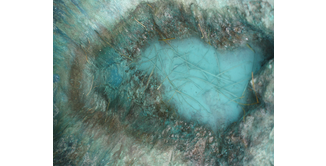 Foto 11 — Reykjavik, Blaue Lagune und Wale