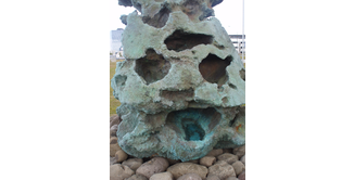 Foto 13 — Reykjavik, Blaue Lagune und Wale