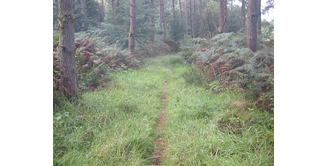 Foto 1 — Bargrennan nach St. John's Town of Dalry