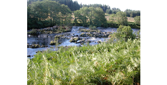 Foto 4 — Bargrennan nach St. John's Town of Dalry