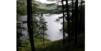 Foto 6 — Bargrennan nach St. John's Town of Dalry