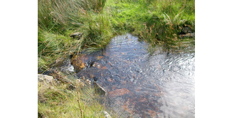 Foto 12 — Bargrennan nach St. John's Town of Dalry