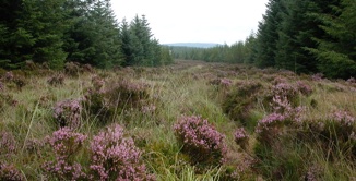 New Luce nach Bargrennan