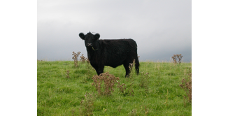 Foto 1 — St. John's Town of Dalry nach Allan's Cairn