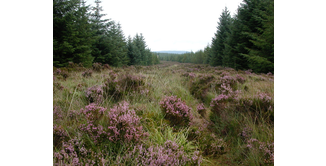 Foto 2 — New Luce nach Bargrennan