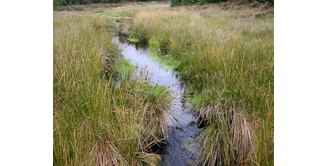 Foto 3 — New Luce nach Bargrennan