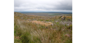 Foto 6 — New Luce nach Bargrennan