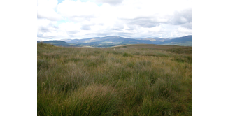 Foto 11 — New Luce nach Bargrennan