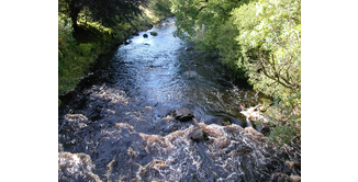 Foto 12 — New Luce nach Bargrennan