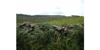 Foto 6 — Stranraer nach New Luce