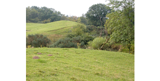 Foto 1 — Drumquhassle nach Rowardennan