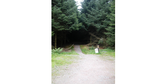 Foto 3 — Drumquhassle nach Rowardennan