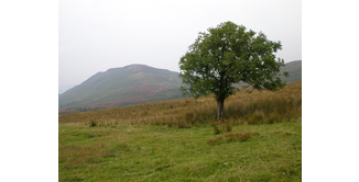 Foto 5 — Drumquhassle nach Rowardennan