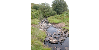 Foto 6 — Drumquhassle nach Rowardennan