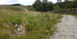 Inverarnan nach Tyndrum