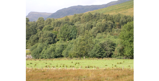 Foto 1 — Inverarnan nach Tyndrum