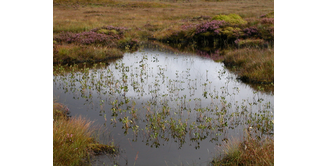 Foto 2 — Inveroran nach Kingshouse Hotel