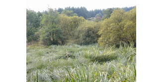 Foto 2 — Milngavie nach Drumquhassle